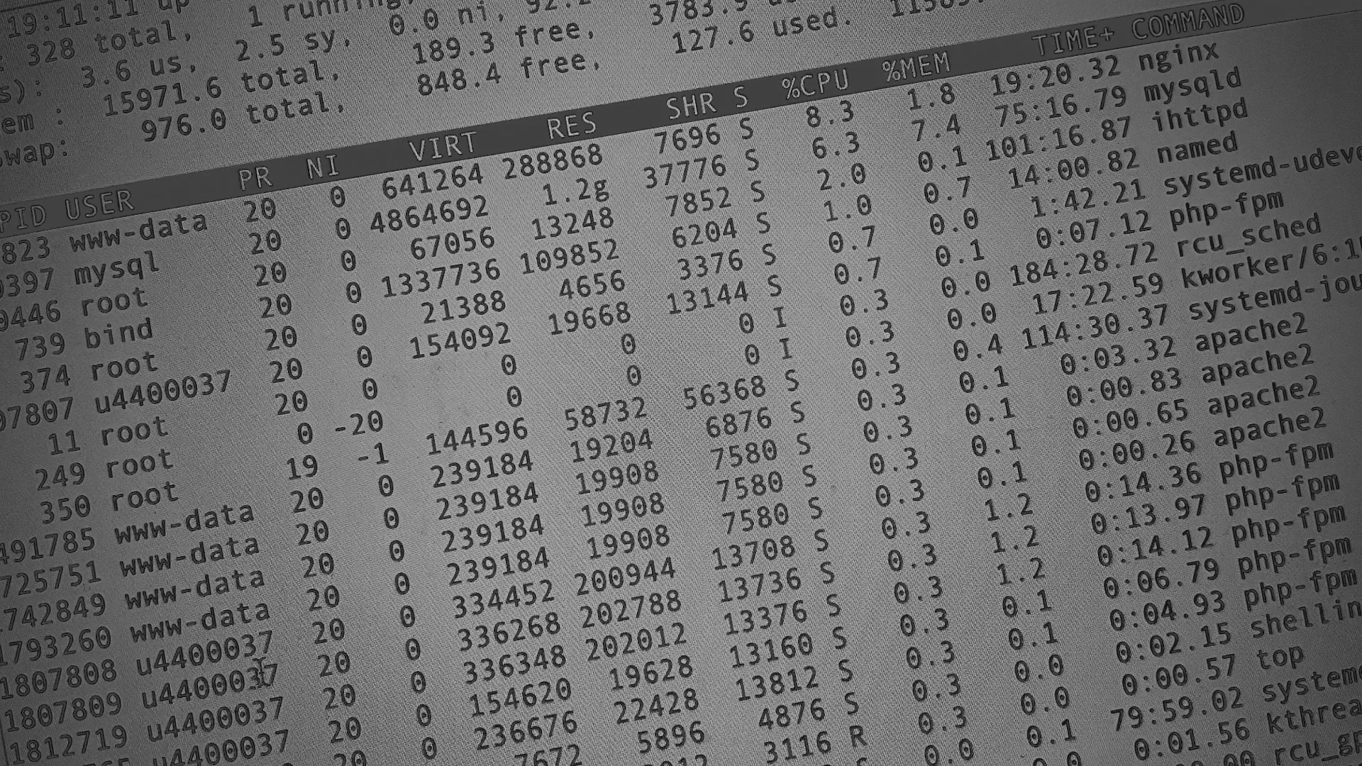 Настройка сервера в Белёве