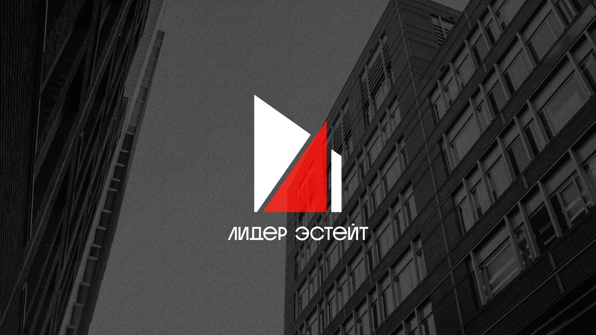 Сделали логотип для агентства недвижимости «Лидер Эстейт» в Белёве